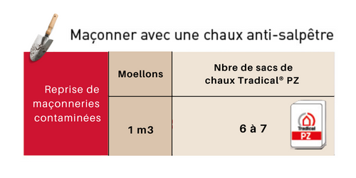 Reprise de maçonneries contaminées